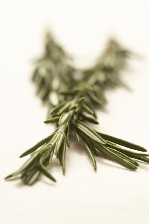 Rosemary Whole - Niblack Foods