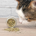 https://niblackfoods.com/wp-content/uploads/2020/07/catnip-1-150x150.png