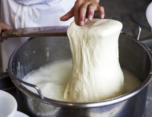 Cheesemaking at Home: Your Tasty New Hobby